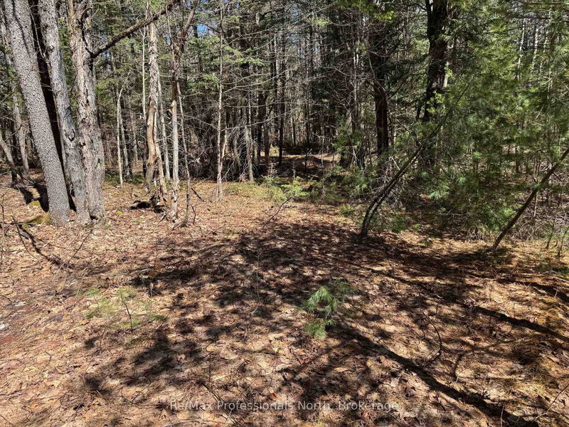 Lot 16 Con 2 Draper, Bracebridge, P1P 1R3 | Image 3