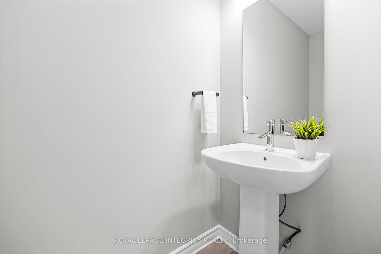 821 Indica Street - Photo 5