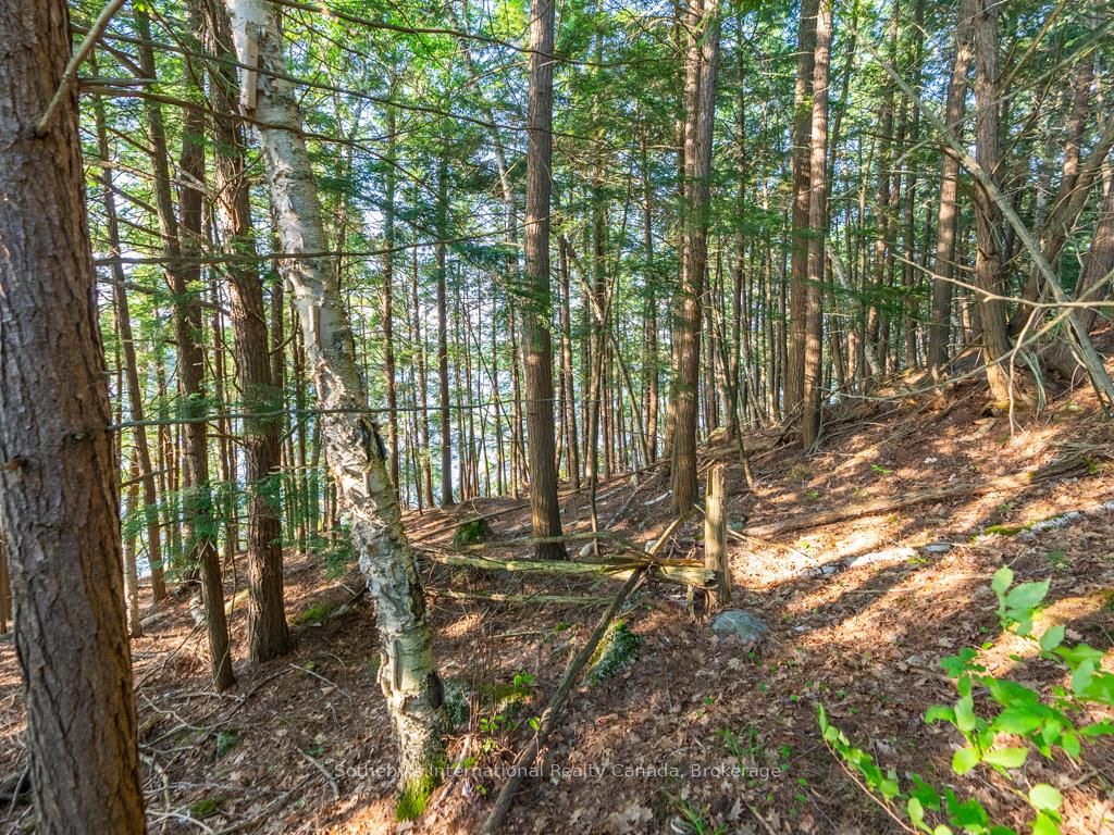 1250 Waldmere Road • #Lot#2 • Bracebridge, ON photo 10