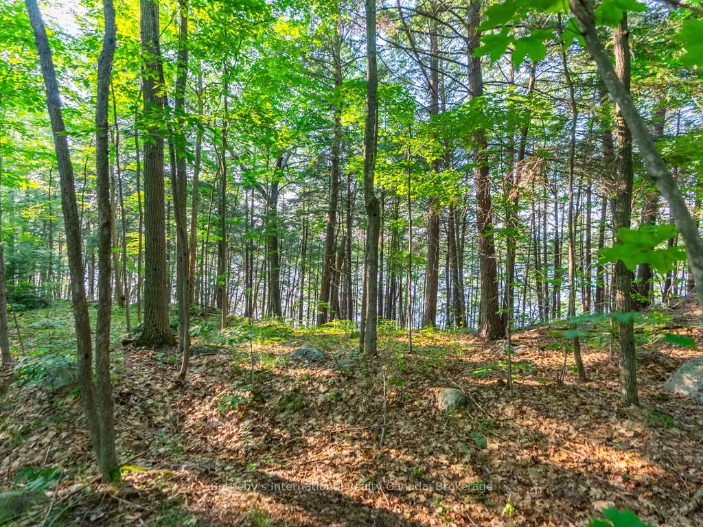1250 Waldmere Road • #Lot#2 • Bracebridge, ON photo 11