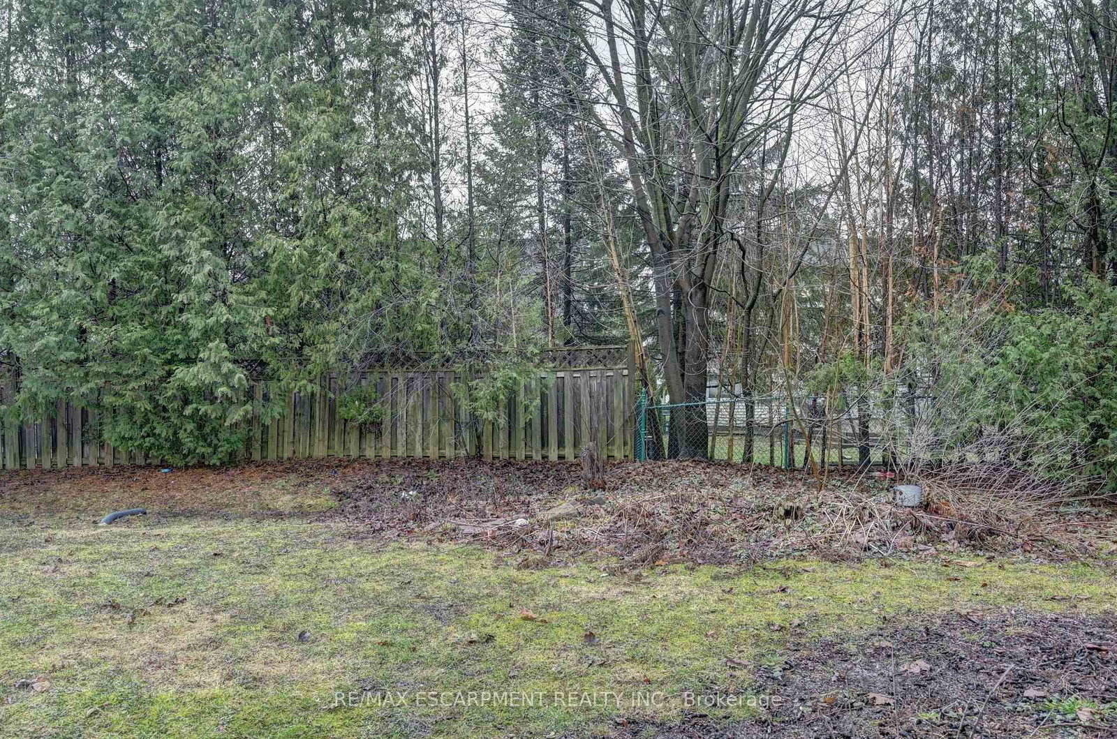 510 Kortright Road W - Photo 45