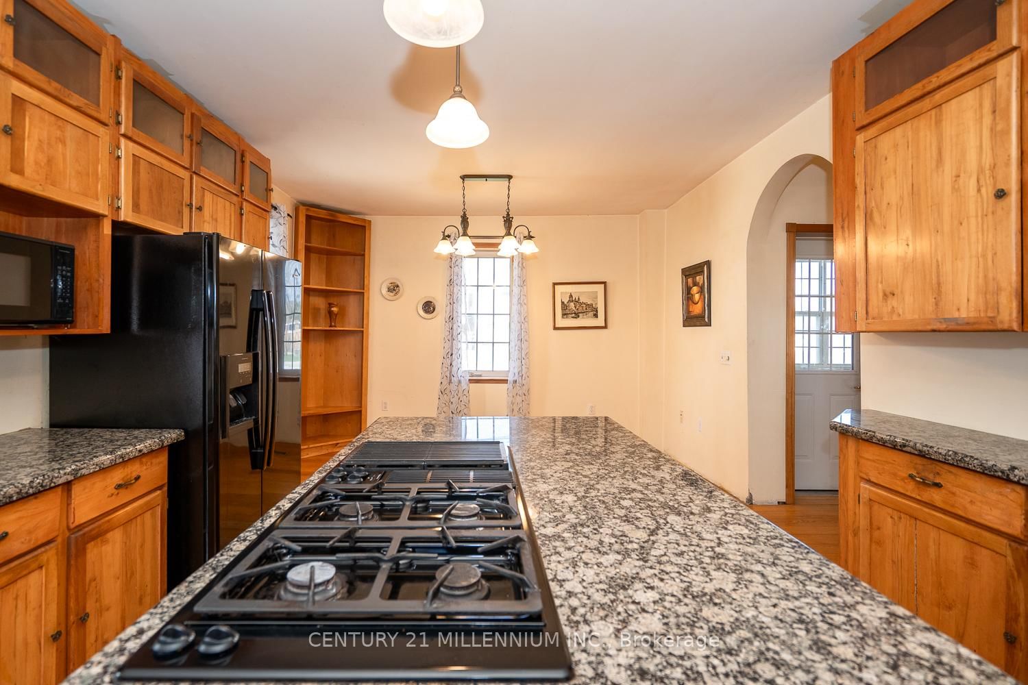 18 Crozier Street - Photo 15