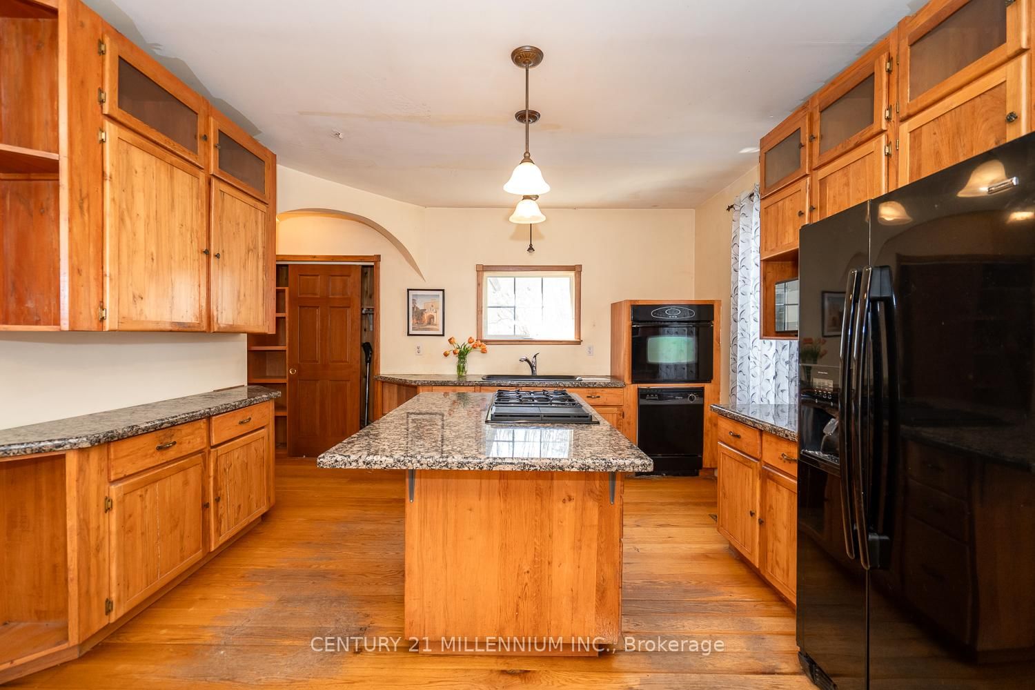 18 Crozier Street - Photo 16