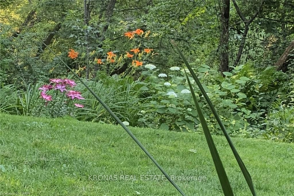 17 Patrice Court - Photo 35