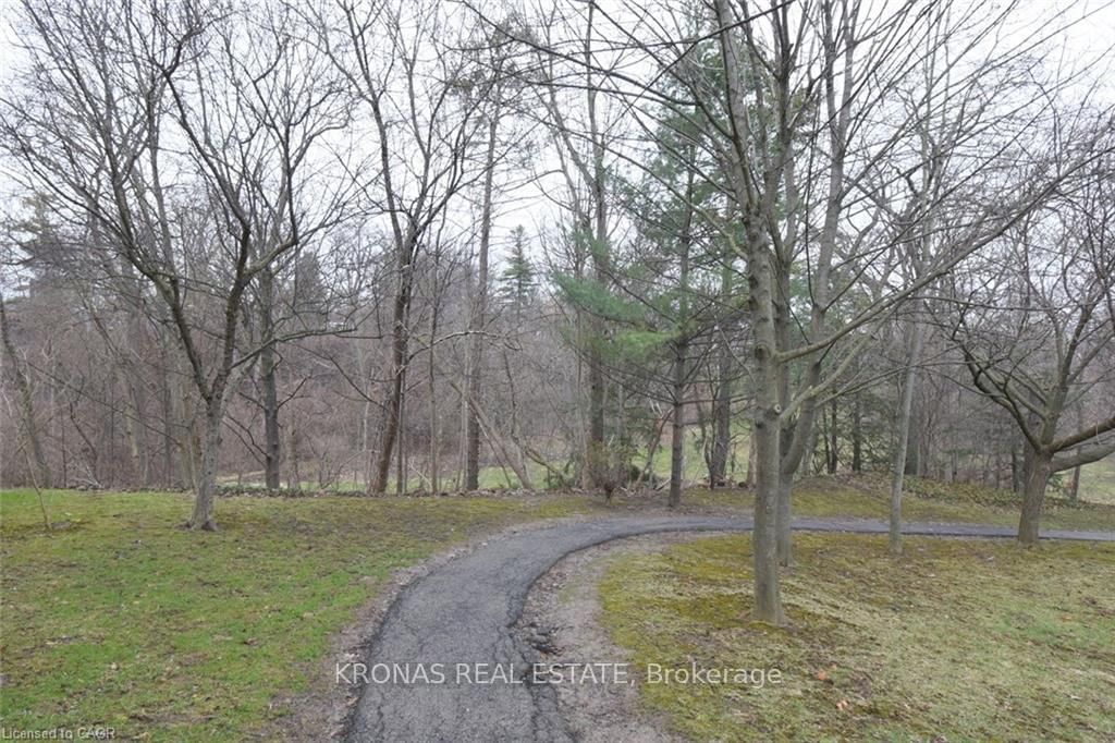 17 Patrice Court - Photo 37