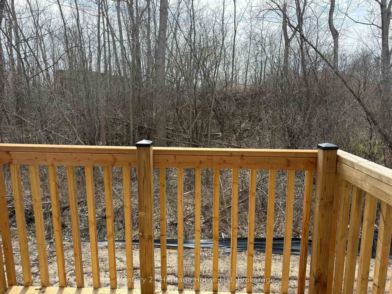 736 Burwell Street - Photo 12