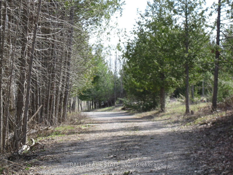 81 Silver Heights Dr, Trent Hills, K0L 1Y0 | Image 2