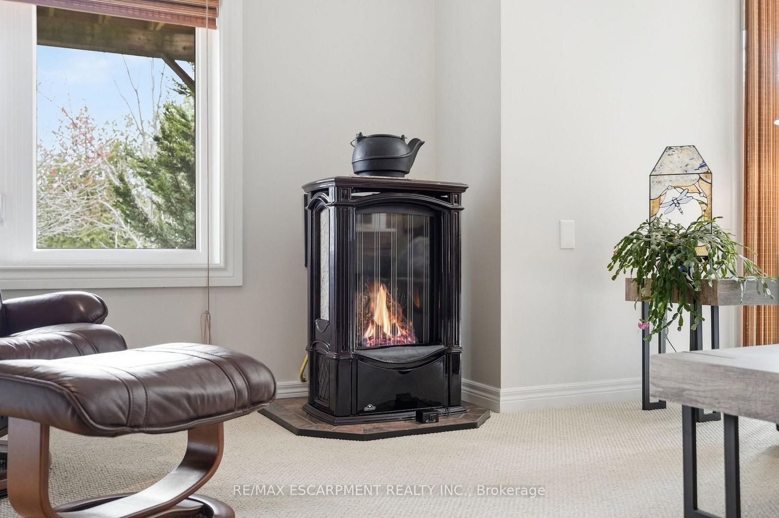 253 Millview Court - Photo 39