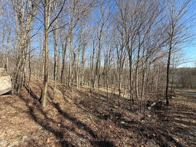 Part 1 Plan 42R Seagull Lake Road — photo 5
