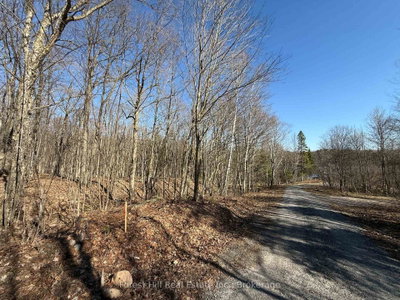 Part 1 Plan 42R Seagull Lake Road — photo 6
