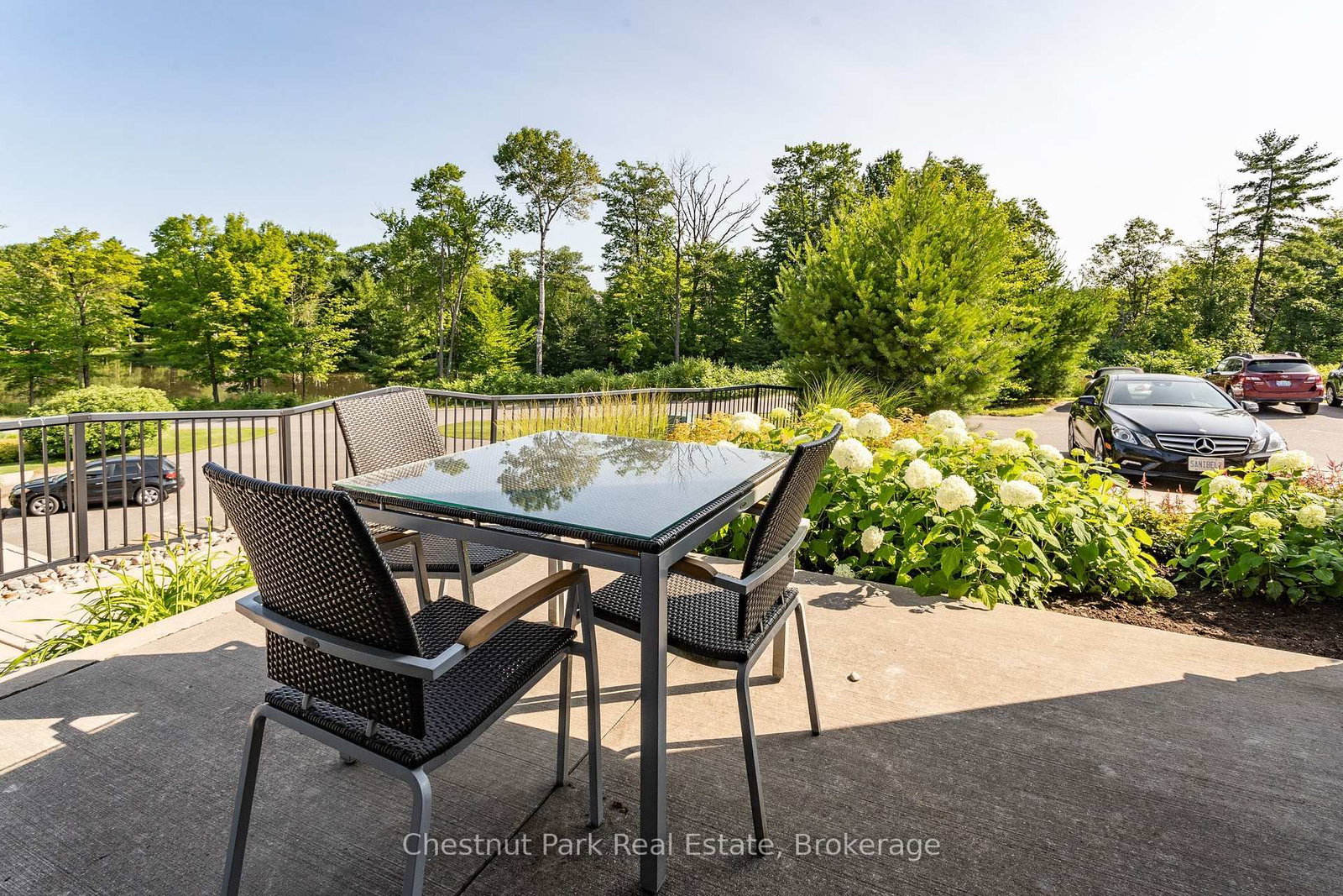 20 Carrick Trail - Photo 12