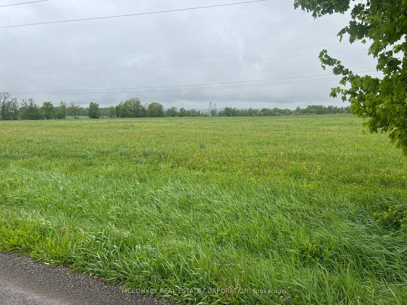 1020 Larmer Line, Cavan Monaghan, K0L 1V0 | Image 3