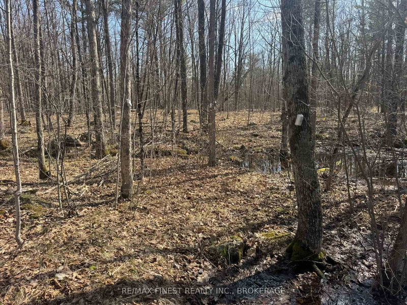 0 CALIFORNIA Rd, Kaladar, K0K 1Z0 | Image 2