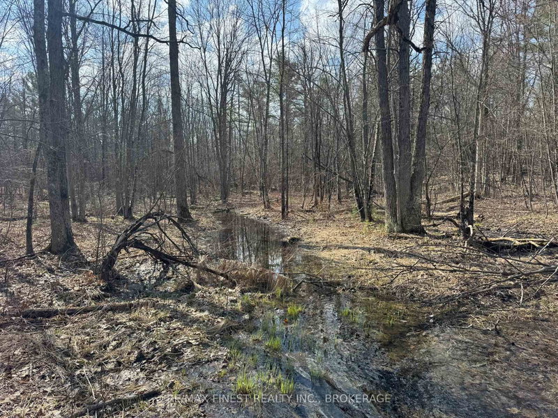 0 CALIFORNIA Rd, Kaladar, K0K 1Z0 | Image 3