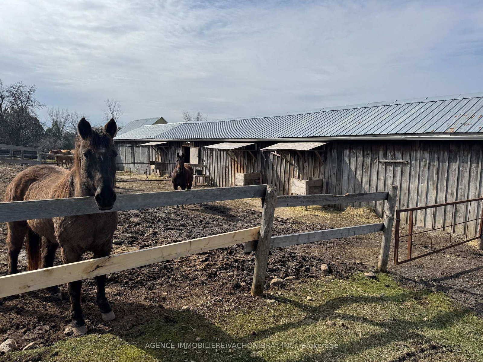 21237 Concession 6 Road • South Glengarry, ON photo 4
