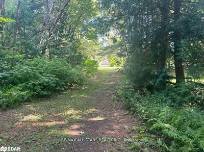 LOT 45 River Rd | Kawartha Lakes | Image