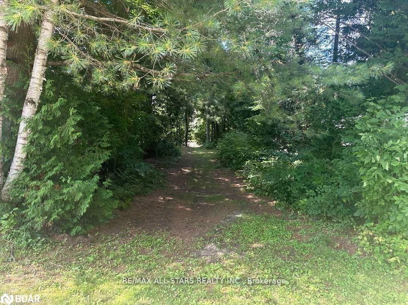 LOT 45 River Rd, Kawartha Lakes, K0M 1N0 | Image 2