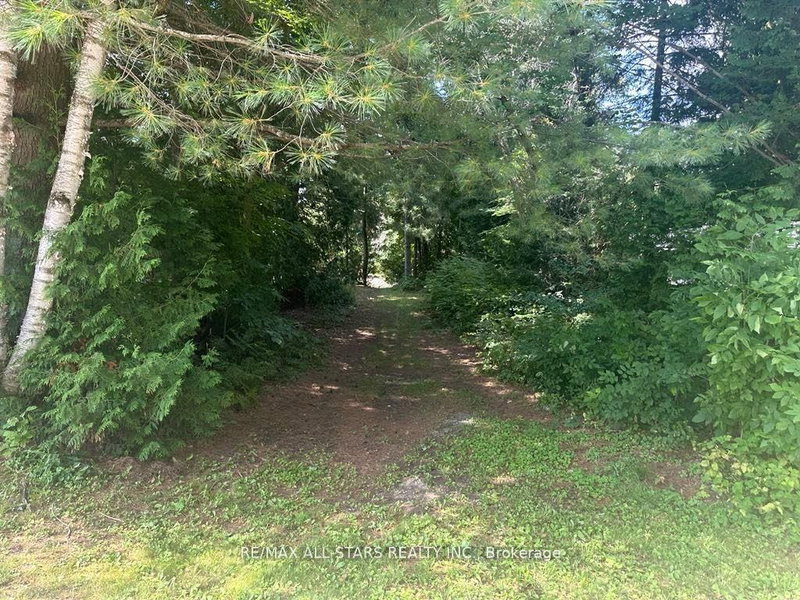 LOT 46 River Rd, Kawartha Lakes, K0M 1N0 | Image 3