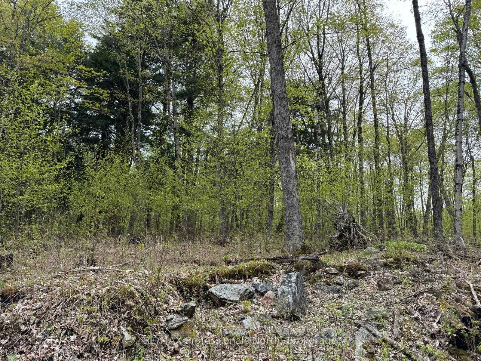 Lot 166 Glen Lake Court • Dysart et al, ON photo 11