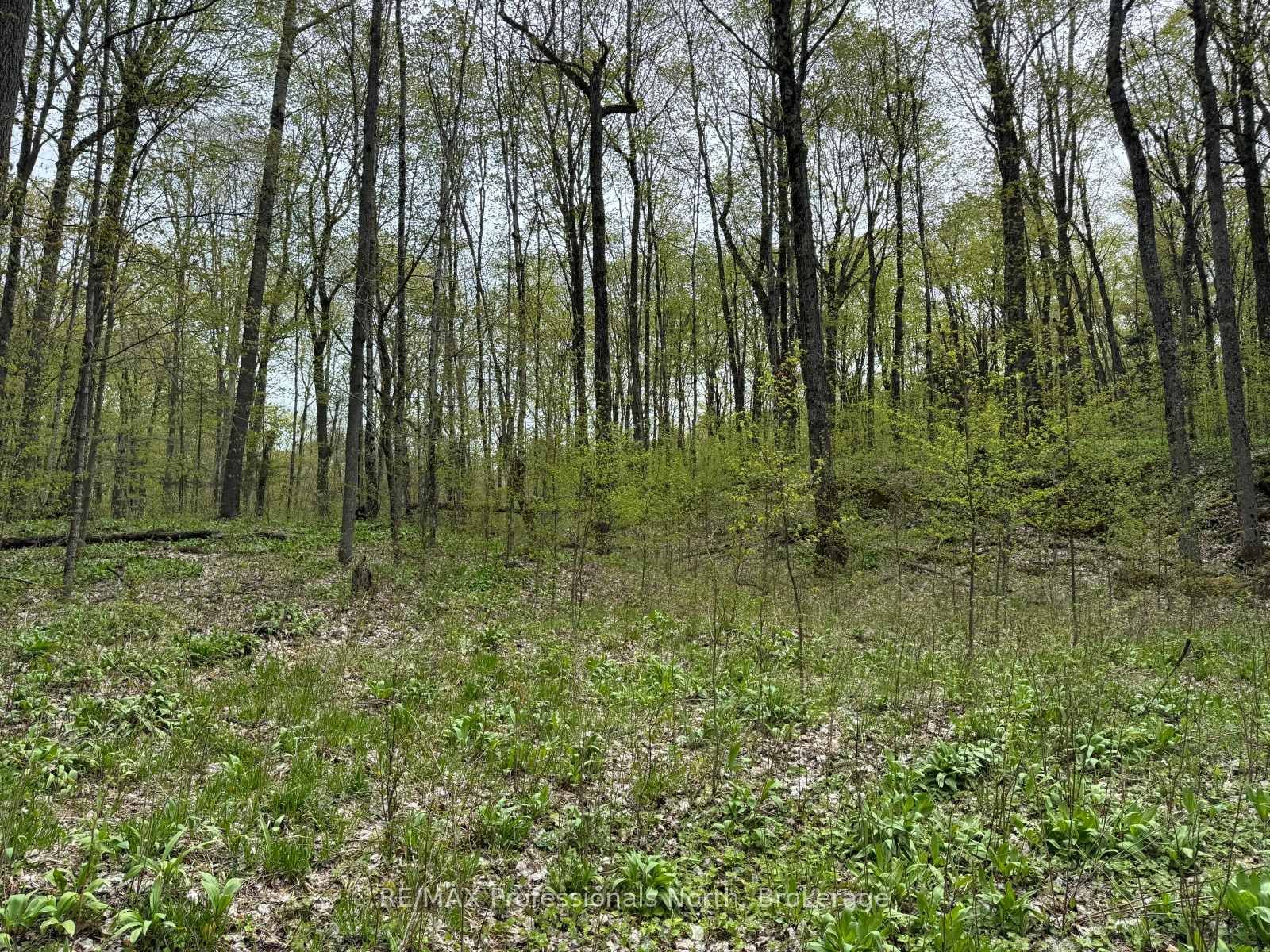 Lot 166 Glen Lake Court • Dysart et al, ON photo 14