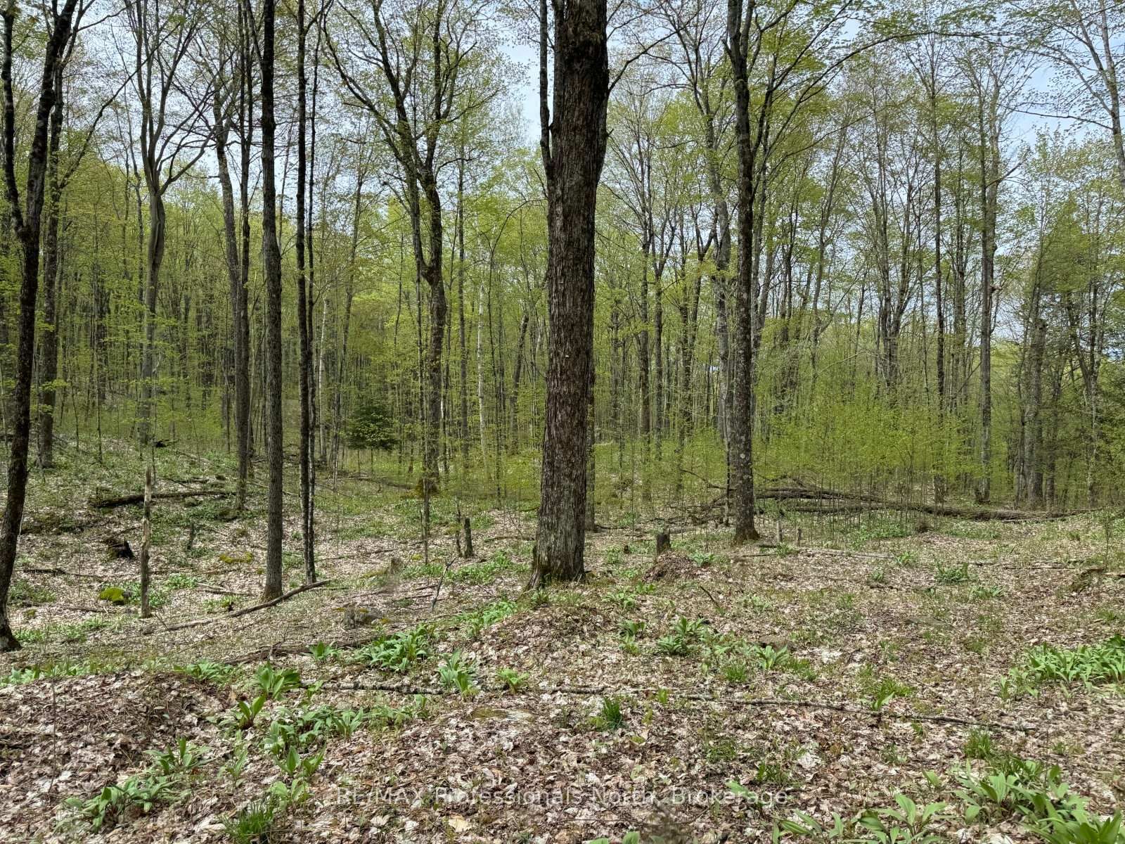 Lot 166 Glen Lake Court • Dysart et al, ON photo 16