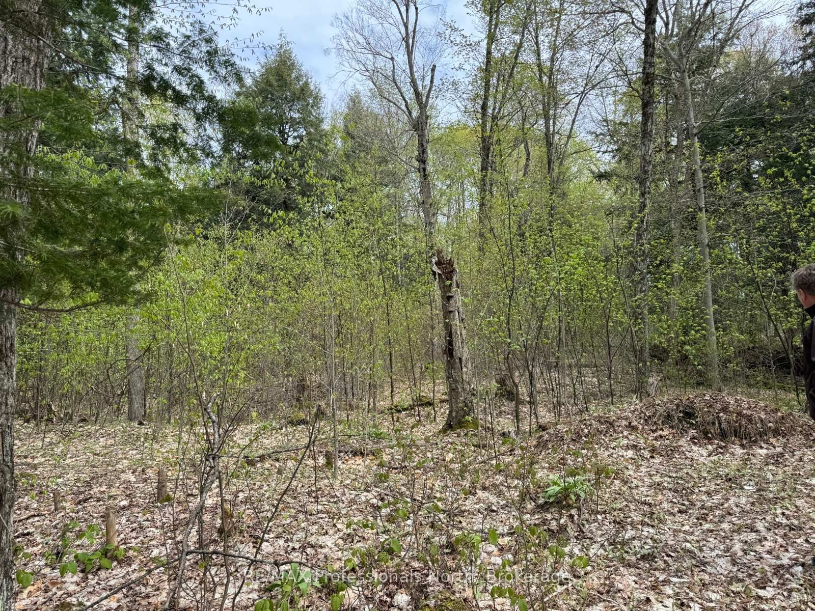 Lot 166 Glen Lake Court • Dysart et al, ON photo 17