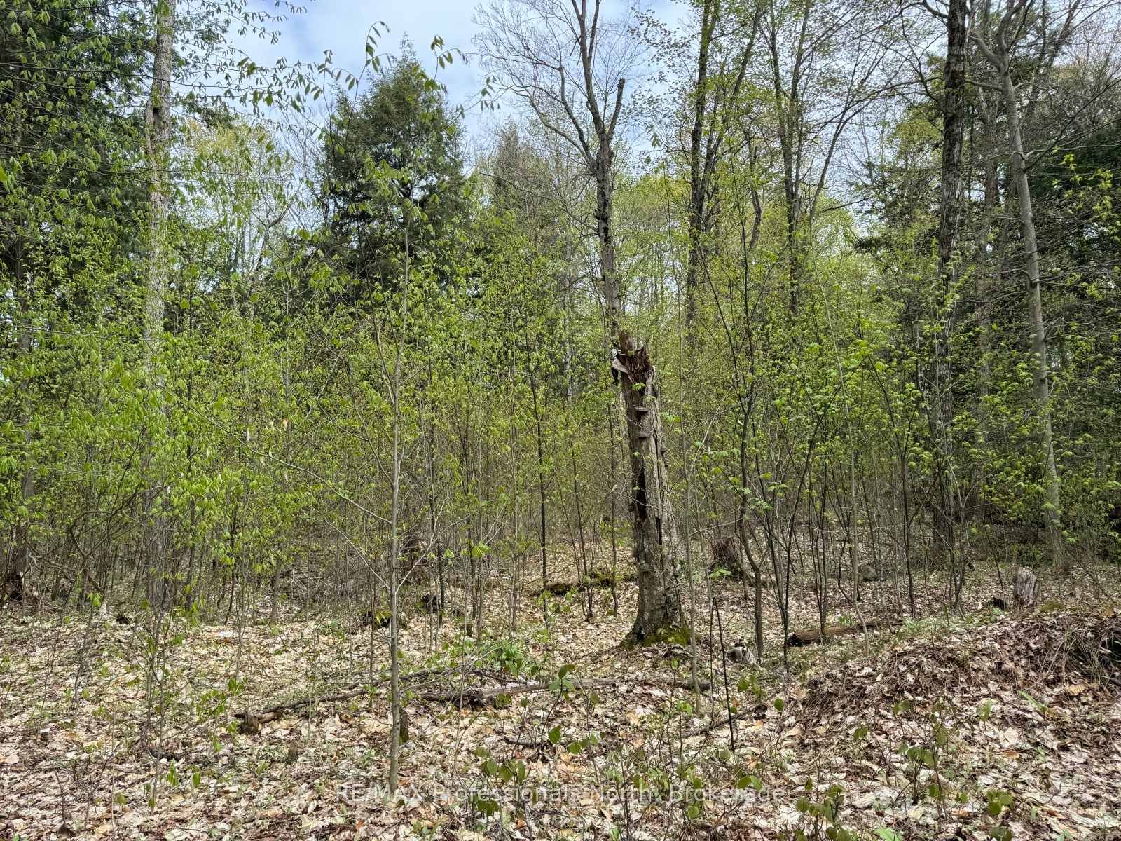 Lot 166 Glen Lake Court • Dysart et al, ON photo 18