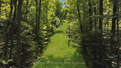 Lot 166 Glen Lake Court • Dysart et al, ON photo 3