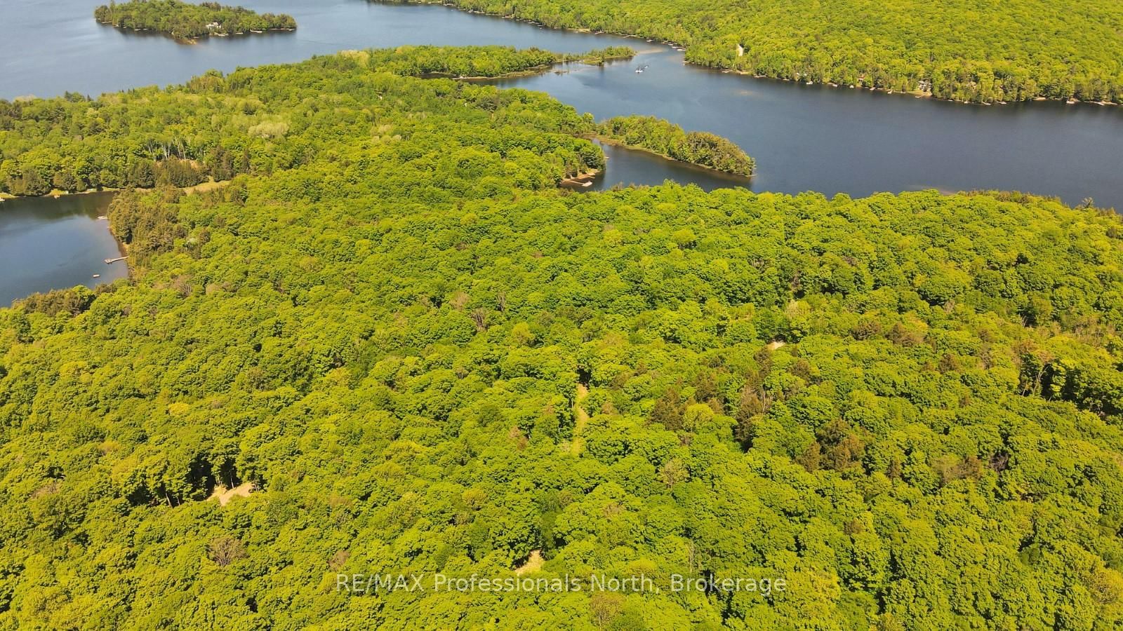 Lot 166 Glen Lake Court • Dysart et al, ON photo 6