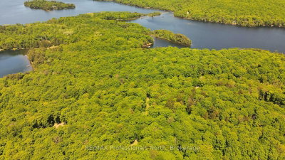Lot 166 Glen Lake Court • Dysart et al, ON photo 6