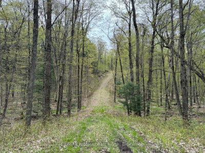 Lot 166 Glen Lake Court • Dysart et al, ON photo 7