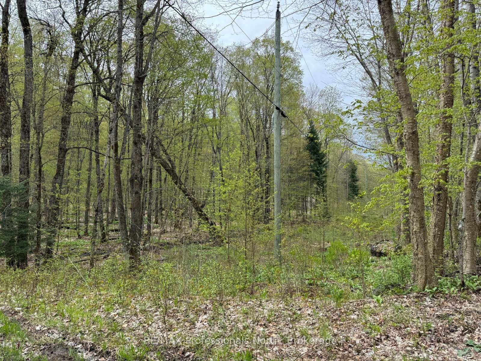 Lot 166 Glen Lake Court • Dysart et al, ON photo 8