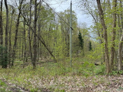 Lot 166 Glen Lake Court • Dysart et al, ON photo 8