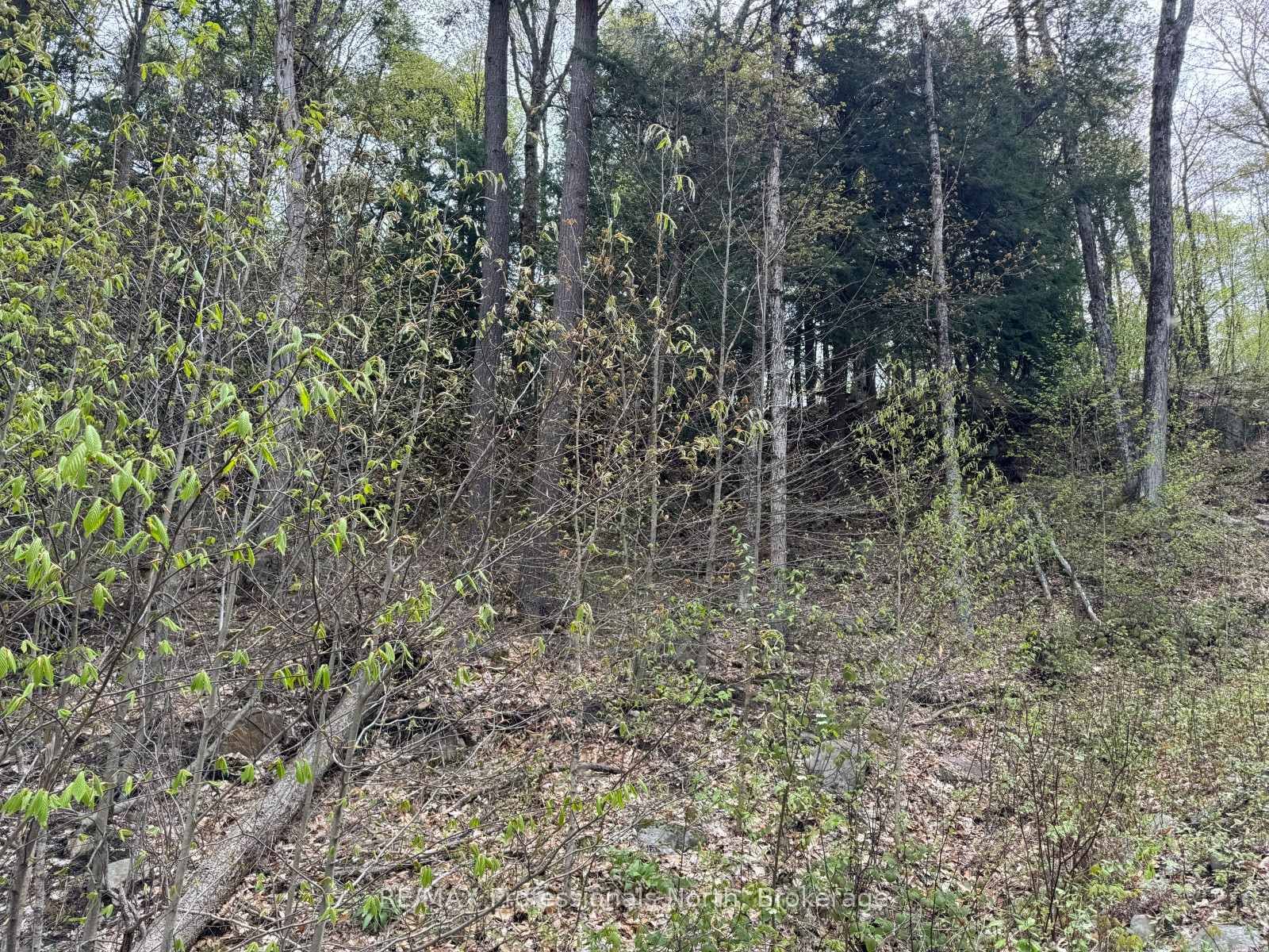 Lot 166 Glen Lake Court • Dysart et al, ON photo 9