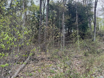 Lot 166 Glen Lake Court • Dysart et al, ON photo 9