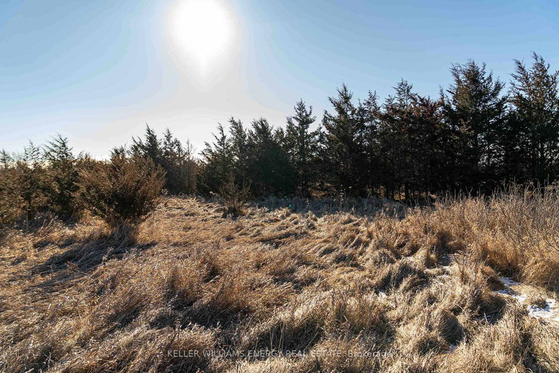 0 County Road 7, Prince Edward County, K0K 2T0 | Image 3