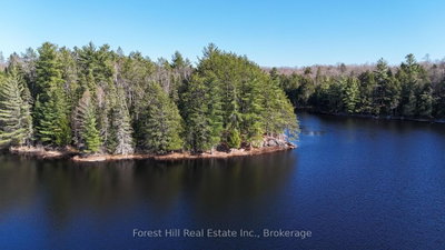 Part 2, Plan 42 N/A • Parry Sound Remote Area, ON photo 8