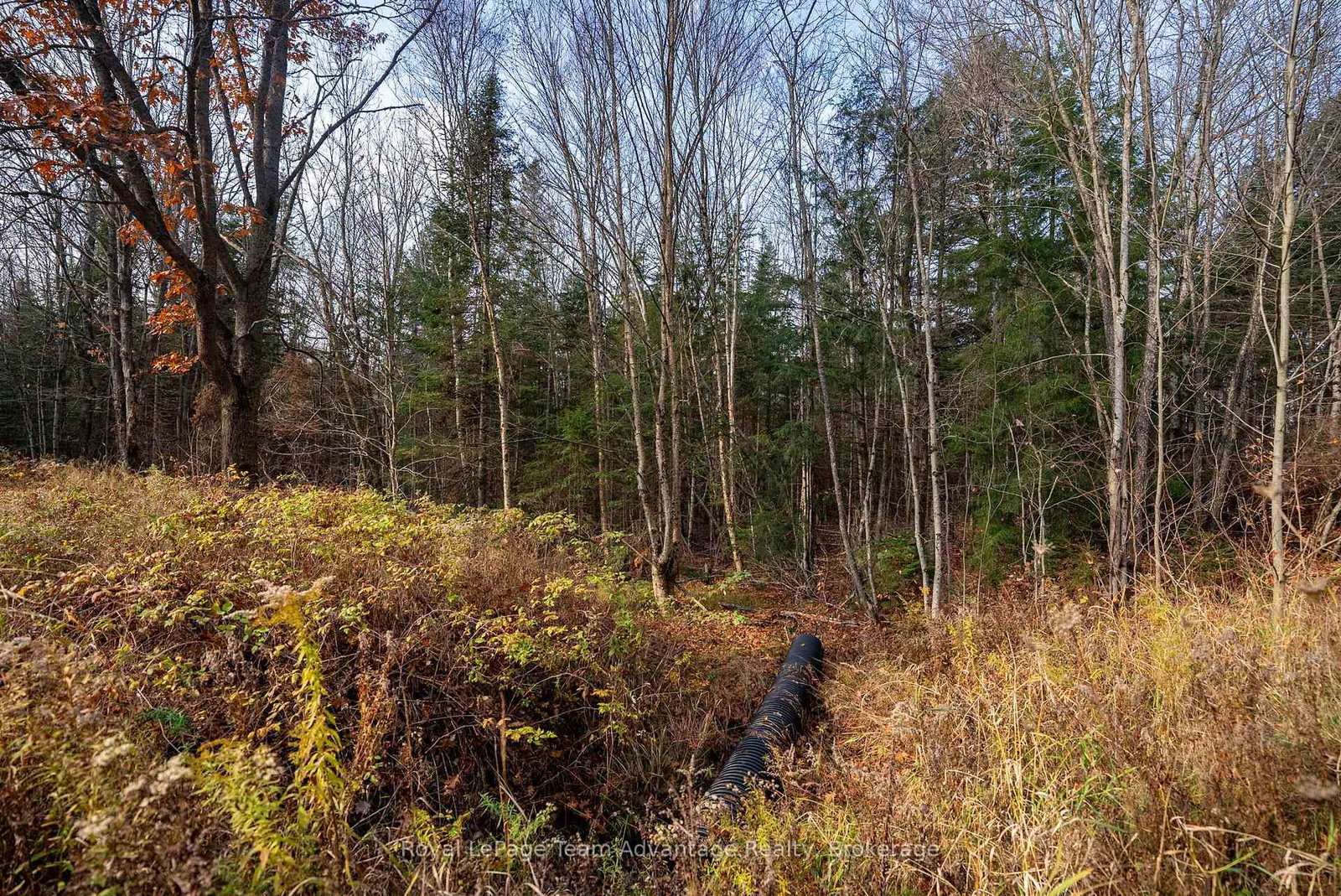 181 Clarkes Lane • Huntsville, ON photo 14