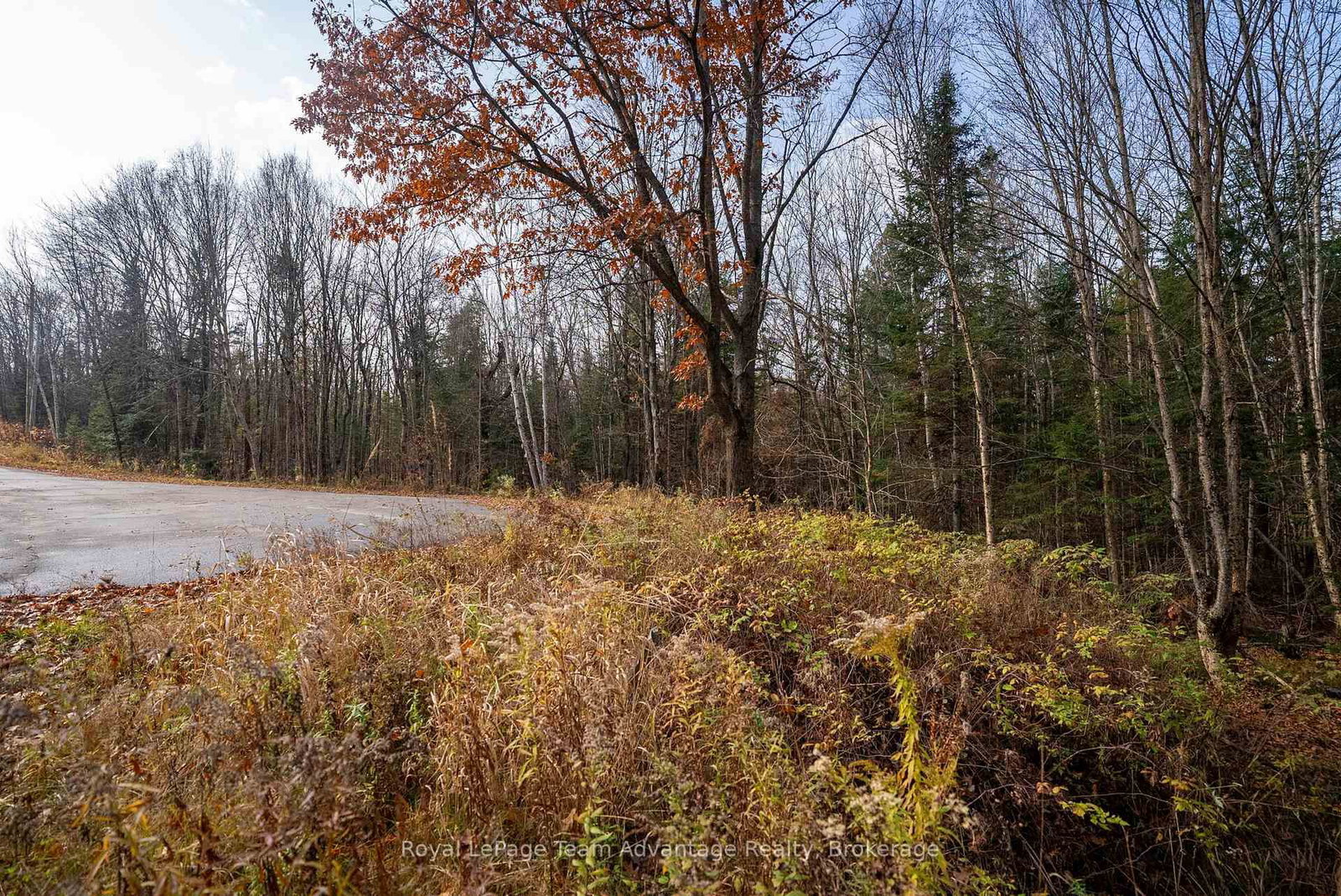 181 Clarkes Lane • Huntsville, ON photo 15