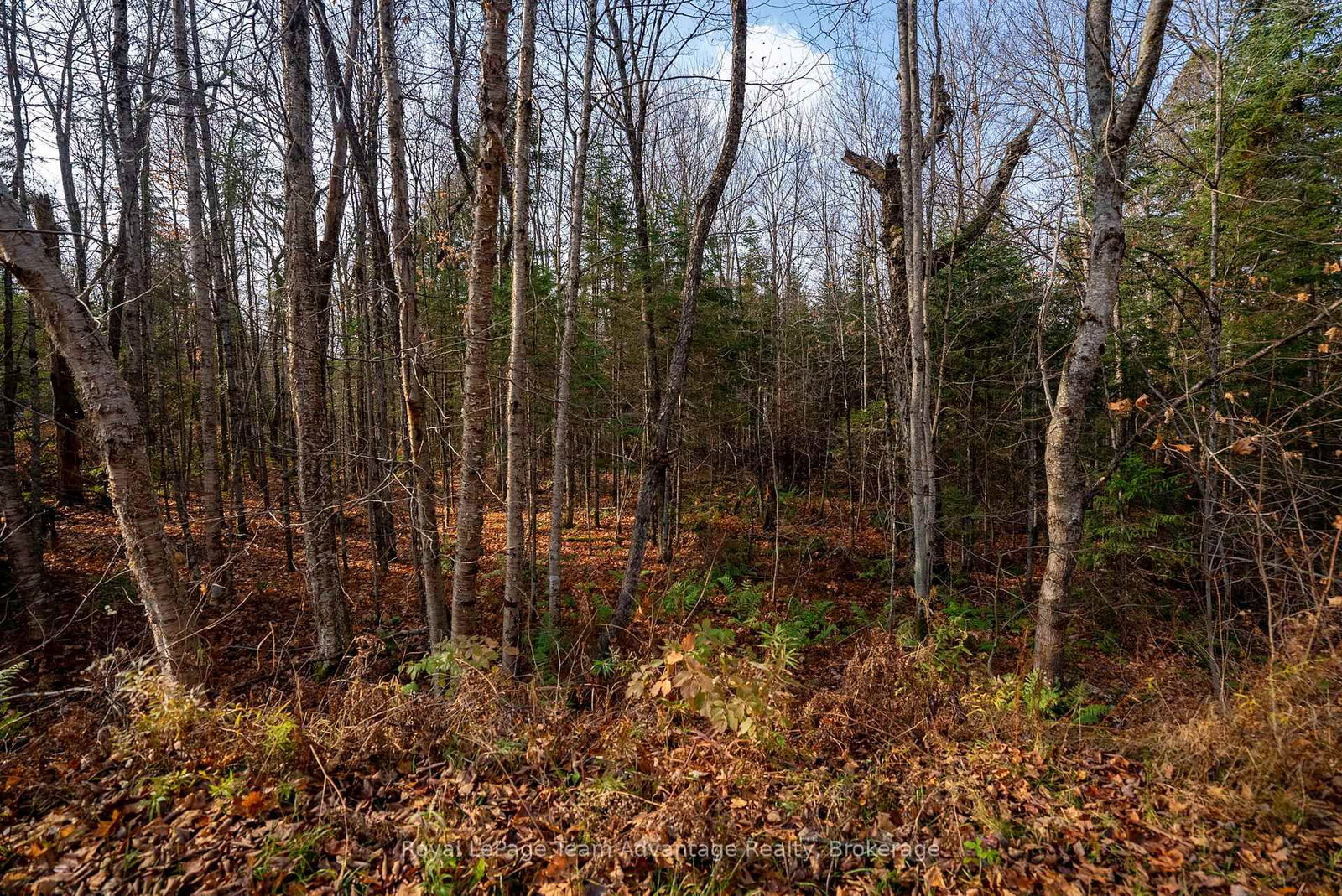 181 Clarkes Lane • Huntsville, ON photo 17