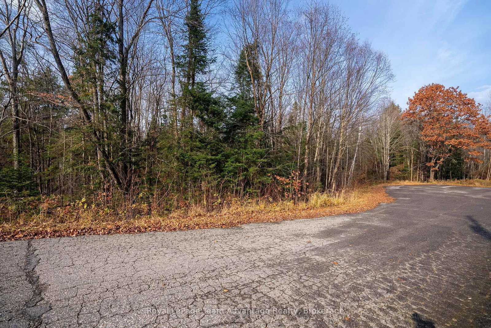 181 Clarkes Lane • Huntsville, ON photo 18