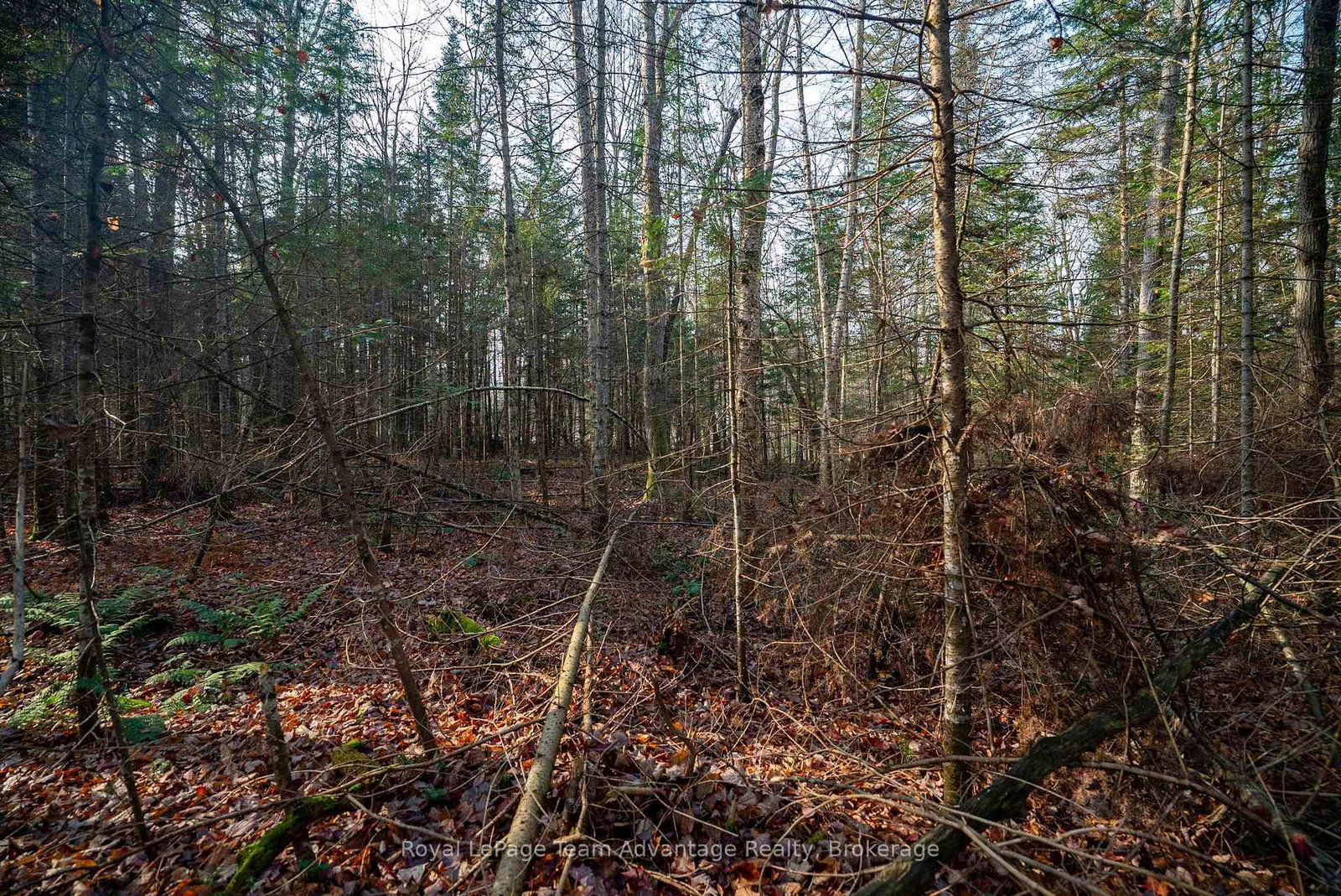 181 Clarkes Lane • Huntsville, ON photo 21