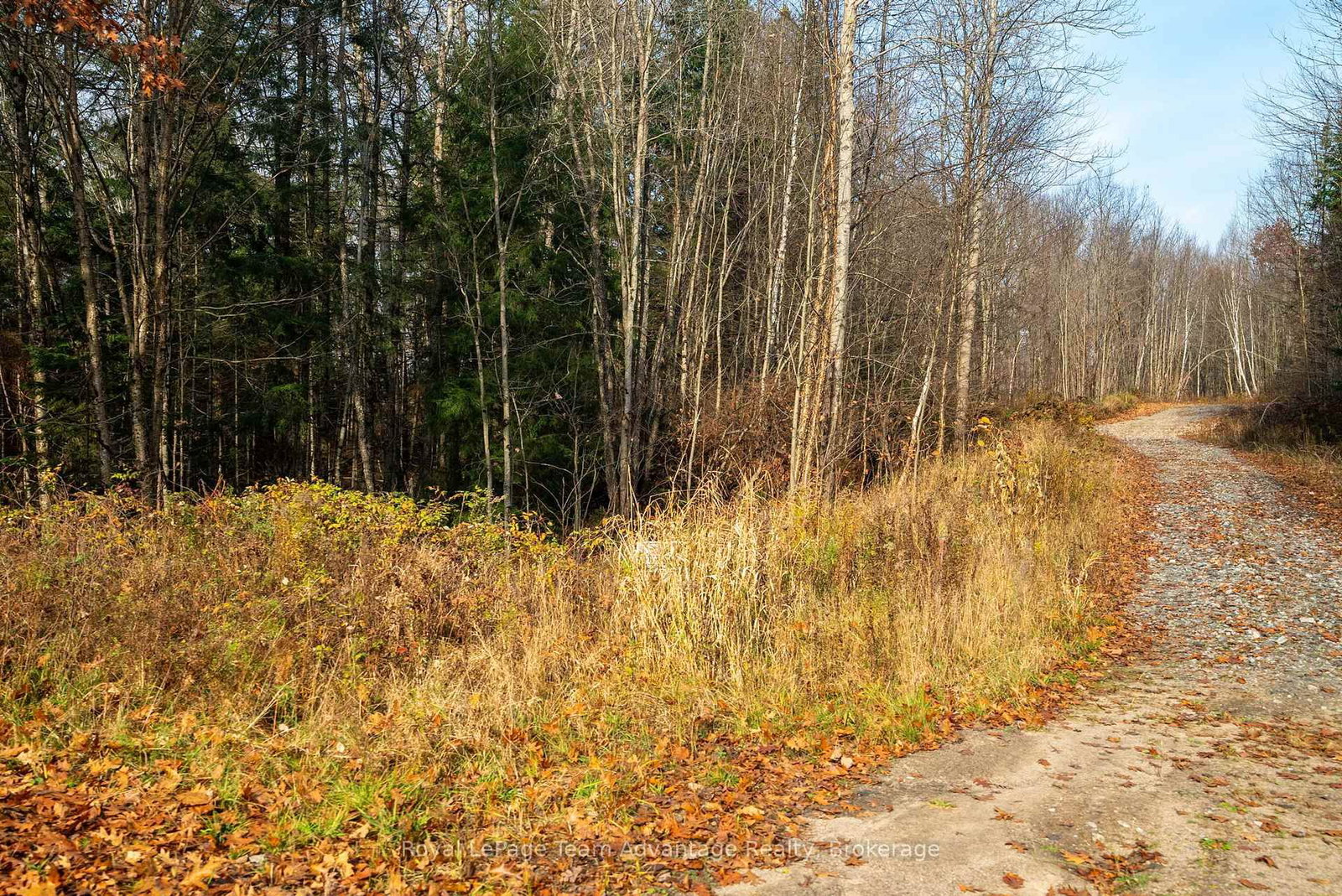 181 Clarkes Lane • Huntsville, ON photo 22