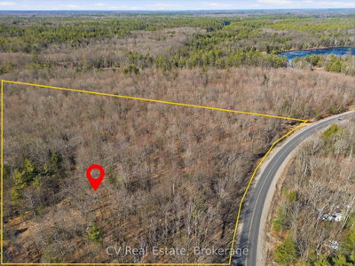 1670 Muskoka Rd 38 — photo 4