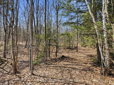 1670 Muskoka Rd 38 — photo 6