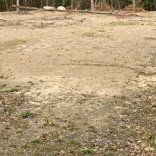 5 Mountain Basin Dr, McDougall, P2A 2W9 | Image 3