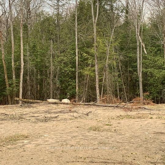 5 Mountain Basin Dr photo 4