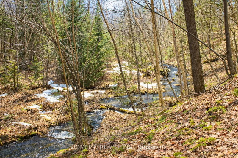 673 Buckshot Lake Rd, Cloyne, K0H 1K0 | Image 3