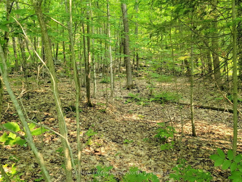 22 - 32 MOUNT VERNON Trail