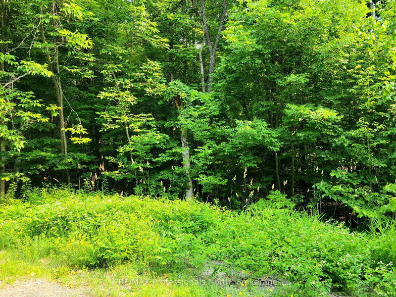 22 - 32 MOUNT VERNON Trail